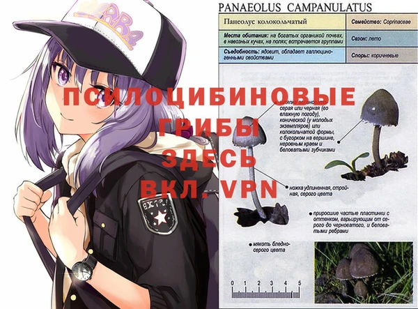 Альфа ПВП Балабаново